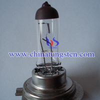 halogen tungsten car lamp