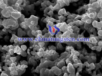 tungsten carbide powder SEM image